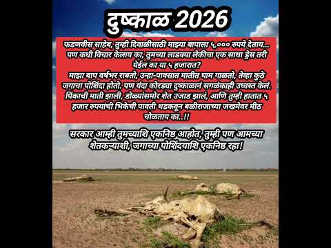 दुष्काळ २०२६! बळीराजाची आर्त हाक आणि वेदना 🌾⚠️ #shorts