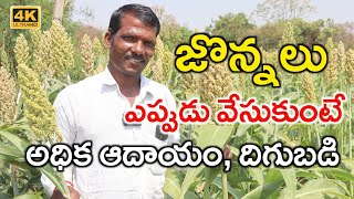Jowar Cultivation In Telugu | 2 ఎకరాల్లో జొన్నలు పండిస్తున్న | White Jowar Crop | Shiva Agri Clinic