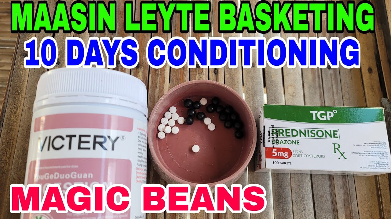 MAASIN LEYTE BASKETING / 10 DAYS CONDITIONING / MAKAUWI SANA ANG MGA WARRIORS KO #benchsison