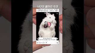 네이밍 팝업 한정 컬러 NEW 블러리 치크 밤 버니🐰🎀(진심 예쁘네…)