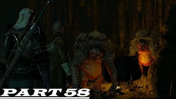 The Witcher 3: Wild Hunt "A Deadly Plot" Nintendo Switch Walkthrough Gameplay Part 58