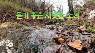 [tripto]시냇물소리 (sound of stream) 수면/집중력/공부/휴식/힐링/청정소리