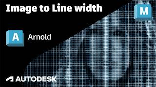 Arnold Tutorial - Image to Line width in Maya