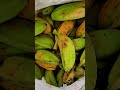saging mo #markytoo #trending #funny #comedy #fyp #memes