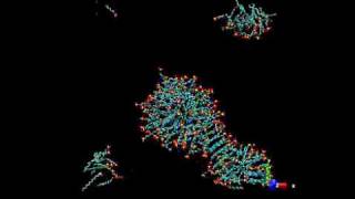 Controlling micellar fission with electrostatics