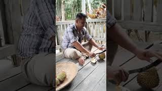 Makan durian sama rambutan, palah area