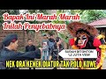 Beginilah jadinya jika barongan jaranan ngamuk 