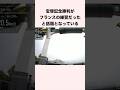 宝塚記念勝利がフランスの練習だったと話題となっている #競馬 #競馬予想 #shorts
