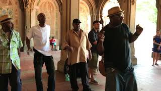 mustsee! “Stand by Me” Cover Story  Acapella Soul WonderfulNew York  Central Park