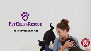 Pet Help & Rescue - Pet Evacuation App - Webinar screenshot 3