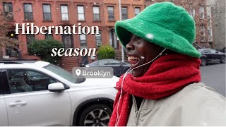 A Simple Start to 2026 | Life in New York