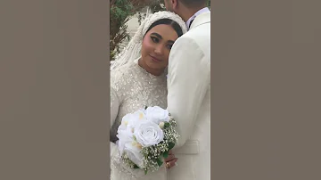 كلها مافيا وعصابات 