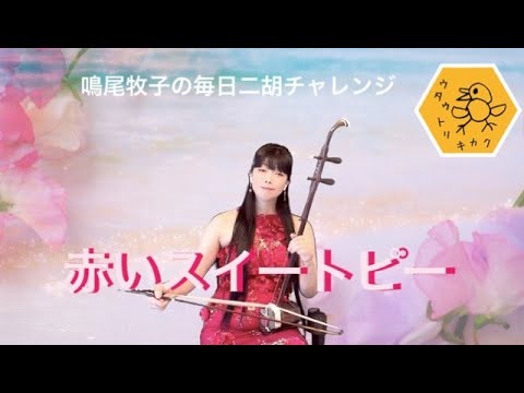 二胡で弾く 赤いスイートピー - YouTube