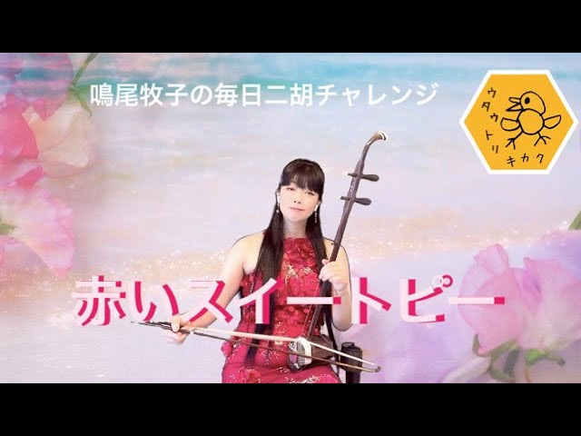 二胡で弾く 赤いスイートピー - YouTube