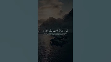 اجمل حالات واتس اب بصوت | ادريس ابكر | تلاوة رائعة وخاشعة 😴🤍