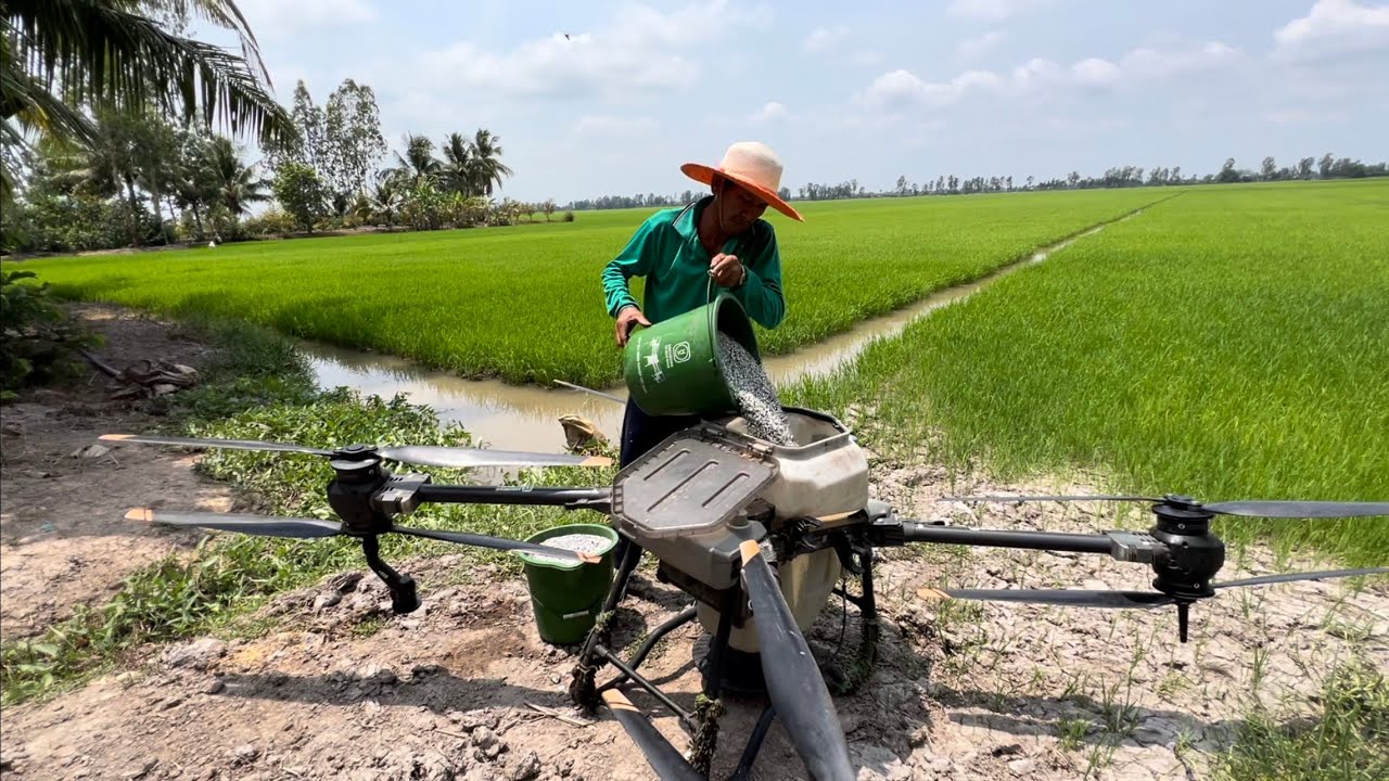 Máy T40 sạ phân cho lúa đợt 2 - YouTube