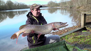 Où pêcher la truite en Sarthe ?