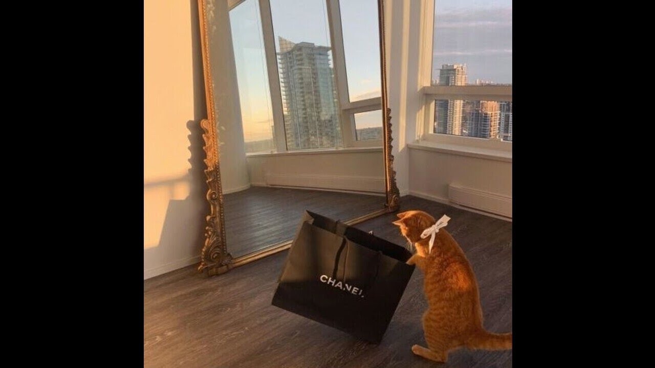 [FREE] weiland x autumn type beat - "when we are together" (prod. silo)