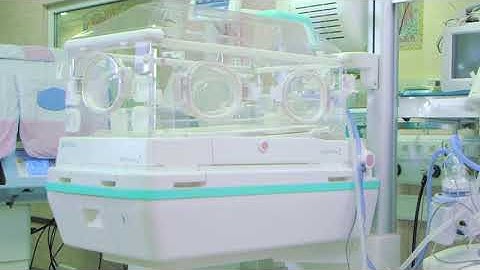 JAKADU Incu Analyzer