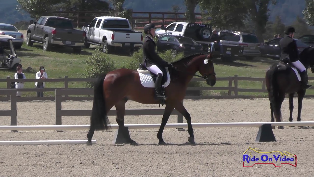 horseshoe bend 229D Kamryn Avvakumovits on King's Affair JR Training Dressage Woodside May 2019