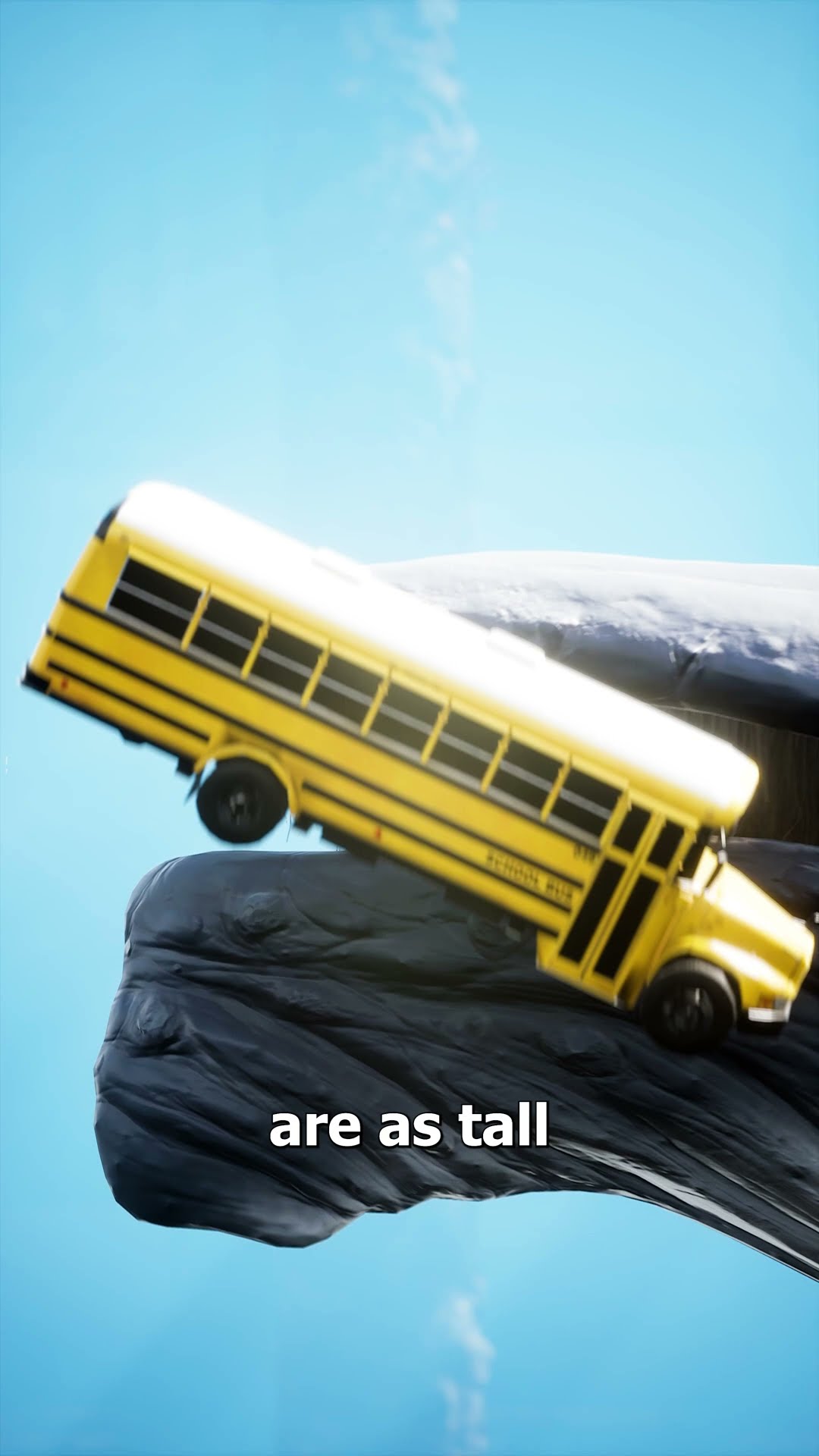 The Largest Teeth In The World ?