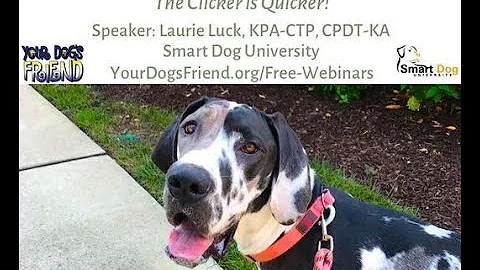 Clicker Train Your Dog to Behave  the clicker is q...