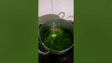 cách chữa viêm lợi, viêm chân răng, răng lung lay, nhức răng ,chảy máu chân răng