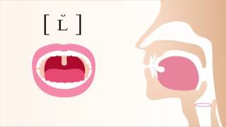 [ ʟ̆ ] voiced dorsal velar lateral tap