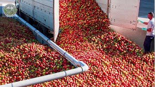 10.3 Billion Pounds Of Apples Are Harvested & Processed In America This Way | Agriculture Technology