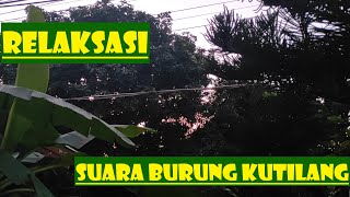 RELAKSASI # Suara Burung 'Kutilang