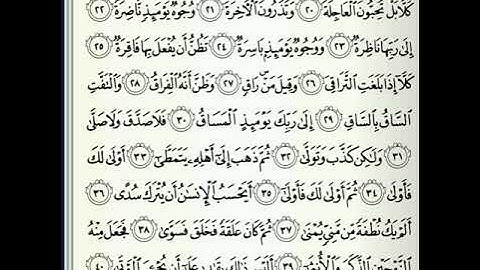 سورة القيامة | هيثم الدخين