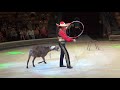 Копия видео "Цирковой номер - нубийские козлики. Ижевск. Performing nubian goats"