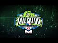 ACO Worlds Tailgator 1 - Monster Cornhole