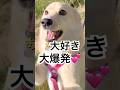 大好き！お母さん！！#大好き#大爆発#保護犬と暮らす