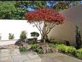 Japanese Garden "Before & After" Vol 2 . Lee's Oriental Landscape Art