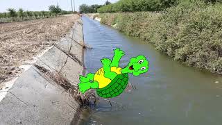 Canal and Water Safety With CCID