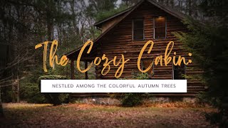 The Cozy Cabin: Finding Solace in Nature's Embrace