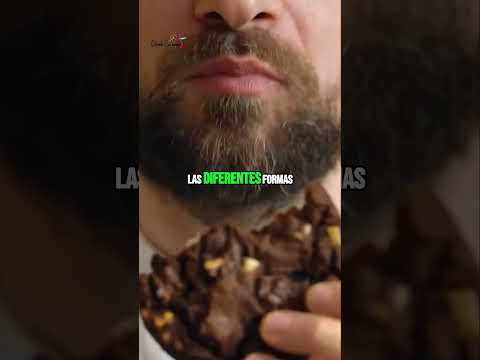¿Cuáles son los
