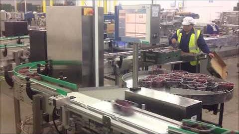 Aja C80 Checkweigher - Pre-Punneted Retail Grapes