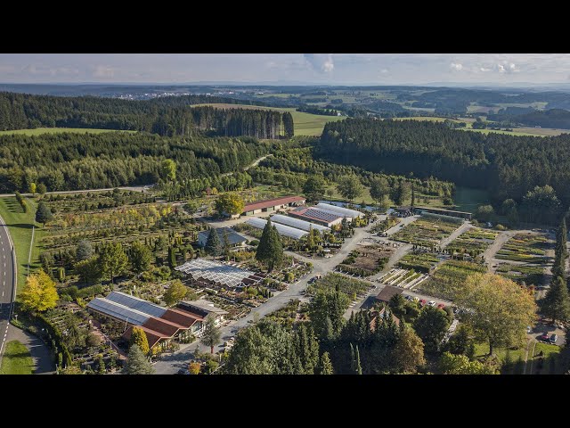 Garten Punzmann - Jahrelanger Erfolg basiert auf Leistung, Zuverlässigkeit und Vertrauen der Kunden