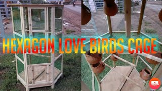 Hexagon shape love birds cage