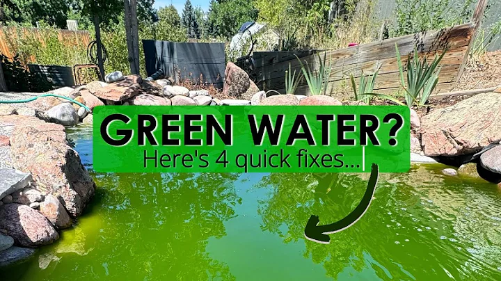 4 easy fixes for green water in a pond.
