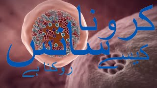 CORONA VIRUS (COVID 19) Animation, Lungs Damage Video