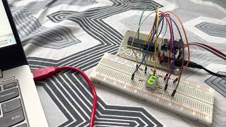 Famous Interfacing lab 8 - seven segments display Net Worth