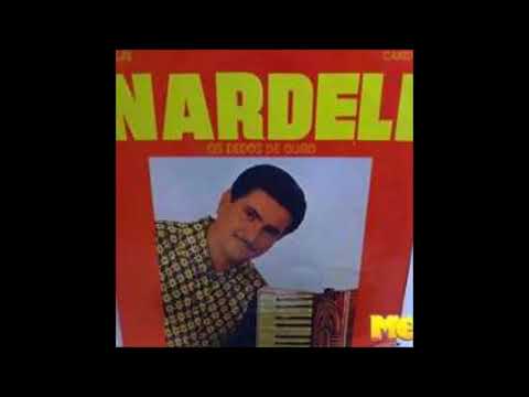 nardelli pelicano