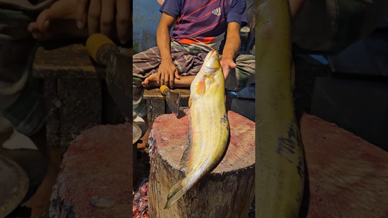 Amazing Boal Fish Cutting Skills In Bangladesh Fish Market By Expert Cutter 