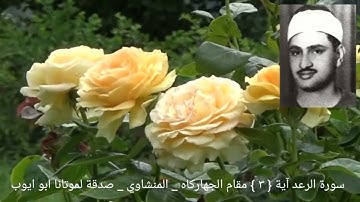 وهو الذي مد الأرض وجعل فيها رواسي وأنهارا _ سورة الرعد آية ٣ _ المنشاوي