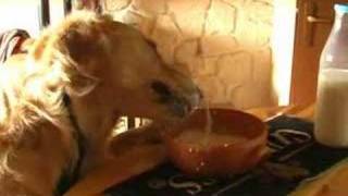 Spartaco Special Drink