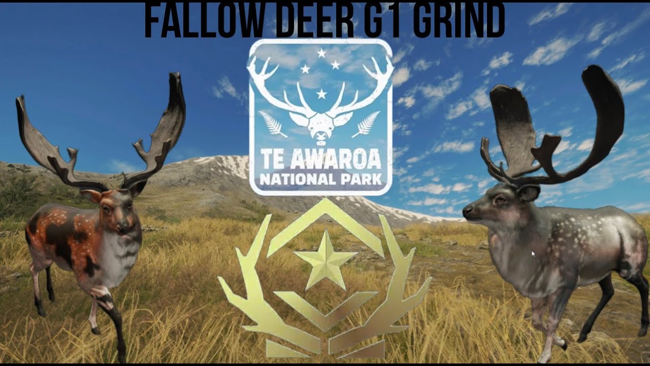 The hunter call of the wild 2 G1 fallow on map!Grind for 3 YouTube