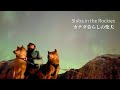 磁気嵐の到来でオーロラが出現！最高の誕生日を迎えた柴犬ナラ【4K】
